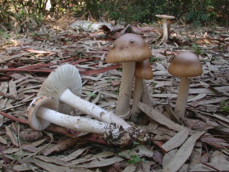 Escursione autunnale in Corsica